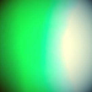 Meet your Posher, Aleksandra